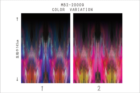 MB2-161_20009 ワイドグラデーションサンプル 帳