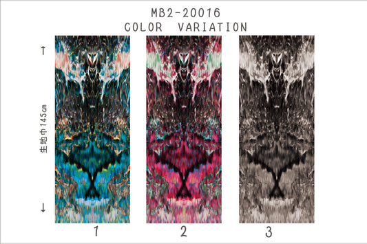 MB2-161_20016 ワイドグラデーションサンプル 帳