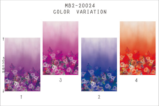 MB2-161_20024 ワイドグラデーションサンプル 帳