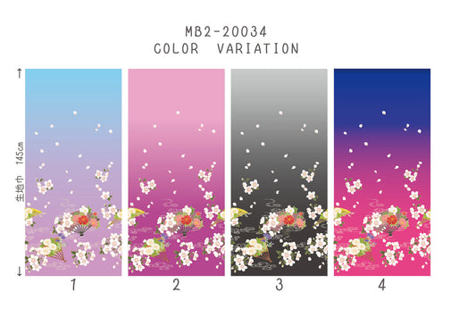 MB2-161_20034　ﾜｲﾄﾞｸﾞﾗﾃﾞｰｼｮﾝｻﾝﾌﾟﾙ 帳