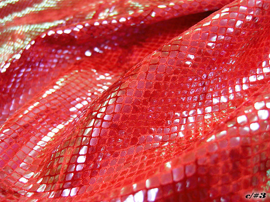 MB2-914 ドラゴンスケイル