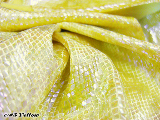 MB2-914 ドラゴンスケイル